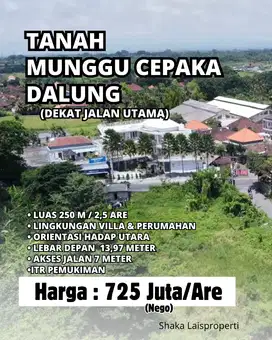 Tanah Dekat Jalan Utama Munggu Canggu Badung Aspek Pemukiman