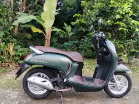 Jual scoopy 2024 gress