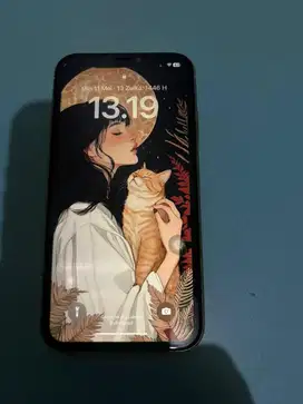 IPHONE XR 128gb SECOND INTER