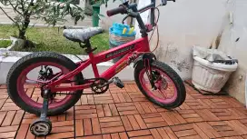 Sepeda anak bekas uk 16 element