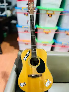 Gitar Akustik Segovia
