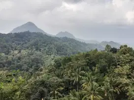 Tanah Murah View Pegunungan Menoreh dan Bandara YIA