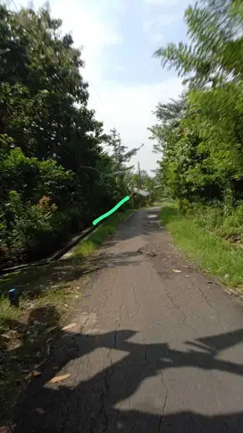 Jual Murah Tanah dekat Dola Deso Boro Pas tuk Villa ,kebun & hunian.