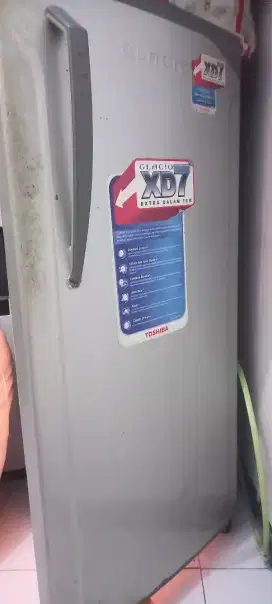 Kulkas toshiba pintu 1
