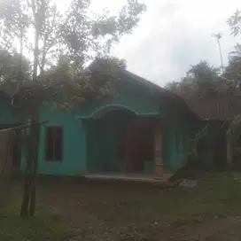 Tanah Bonus Rumah Layak Huni 300m dari Jl Loano