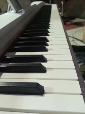 Digital Piano 88 Tuts