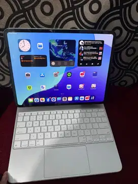 Ipad Pro M4 inter 13 inch wifi+celluler (sepaket magic keyboard)