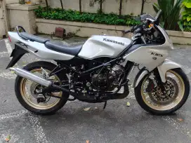Ninja RR OLD 2010