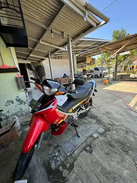 Satria hiu merah