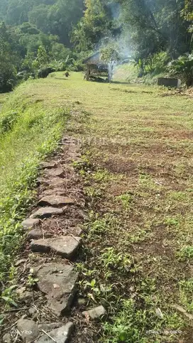 Dijual Tanah Murah Luas Di Tapos LBC Pancawati Ciawi  Bogor