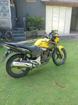tiger revo thn 2011