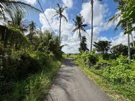Jual Tanah Luas 1250 M² Di Sedang Abiansemal Badung Dekat Ke Ubud