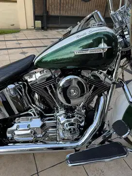 Softail deluxe 2013 Fp ,roadglide,roadking,sportster