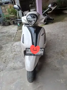 Yamaha Grand filano 2023