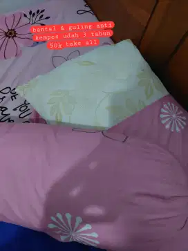 Preloved Bantal Guling Anti Kempes