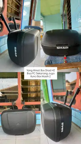 DIJUAL BOX SHAD 42 Bismillah Masih Okee