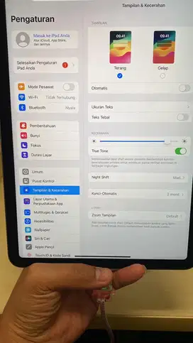 Ipad Air M2 11”