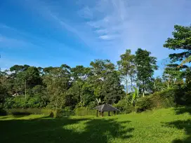 Di jual cepat tanah di cisarua bogor