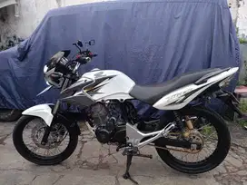 HONDA TIGER REVO 2013 (ALBINO)