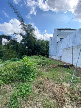 Dijual Tanah Kavling Murah di Klampok, Singosari Malang