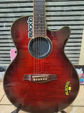 Ibanez AEG24ii -ths
