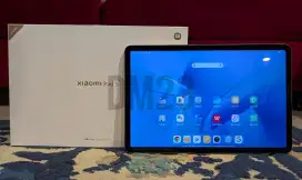 Xiaomi Pad 5 6/256 White