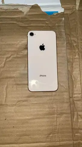 Iphone 8 Internal 256