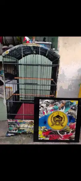 Kandang masih baru kos an BnR ori