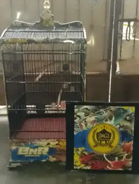 Kandang kos an  BnR ori masih baru