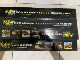 Shock absorbers Raw4x4