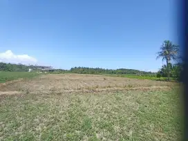 Dijual Tanah Luas Pinggir Jalan