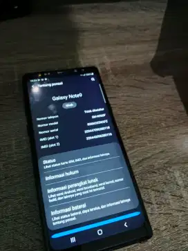 samsung Note 9 6/128gb Ex sein NORMAL