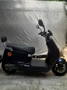 Molis yadea pro