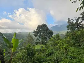 Dijual tanah view gunung dekat camp di bali