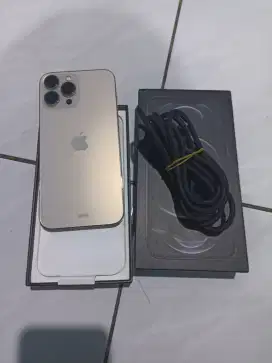 Iphone 13 pro max 256 gb second ibox LCD PERNAH GANTI