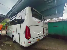 Bus Canter 2015 PS136