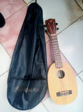 Kentrung Mandalika original