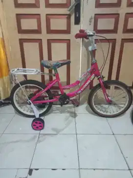 Sepeda anak Phoenix UK 16 HARGA NETT