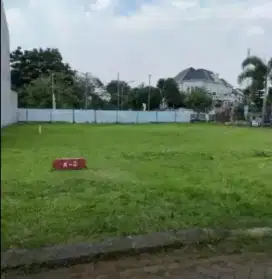 Tanah danau raya raya anyelir