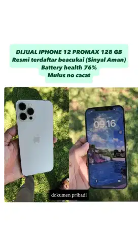 Iphone 12 PM 128GB