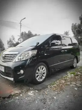 Alphard 2011 Apikan