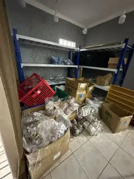 Halo semuanya saya sedang mencari pekerjaan packing online shop
