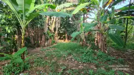 Lahan multi fungsi, Sewa/Kontrak