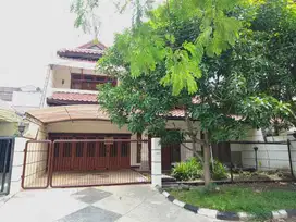 RUMAH MEWAH SUTOREJO PRIMA INDAH BARAT
