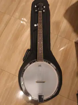 Banjo 5 strings ibanez