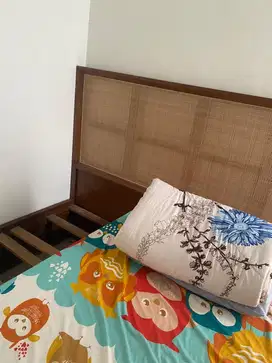 Jual Kasur Bekas Zenius