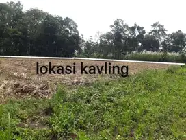 Tanah Kavling Tumpang Malang dekat Candi Jago Free SHM Harga murah