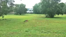 Kavling Kotak di Kawasan Pergudangan Taman Tekno
