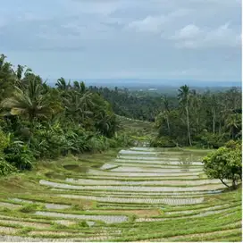 Di jual tanah cocok untuk resort atau villa view exotis