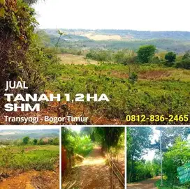 Dijual Tanah 1,2 Ha SHM Dekat Jalan Provinsi Transyogi